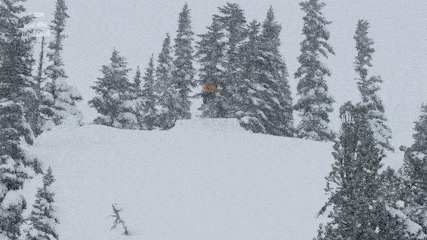 年时间拍摄 年时间拍摄